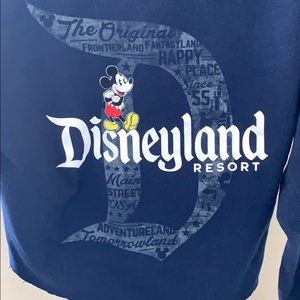 Authentic Disney Land Hoodie (cropped)
